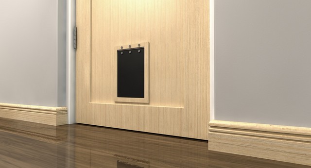 Cat Flap Installation South Kensington, SW7