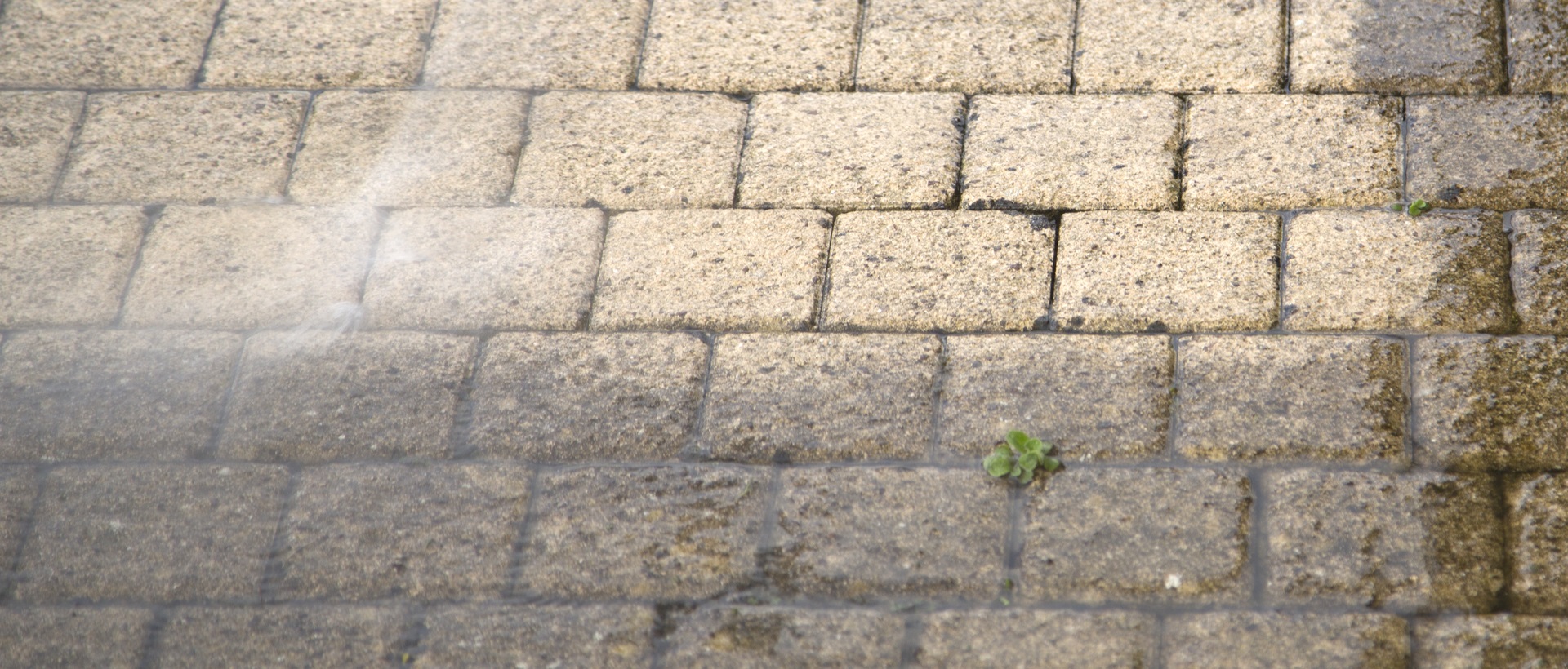 flagging and patios SW7